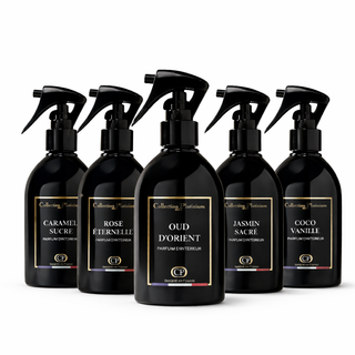 Lot de 5 Sprays Parfum d’Intérieur - 5 × 250 ml – Collection Platinum - La Barfumerie Paris