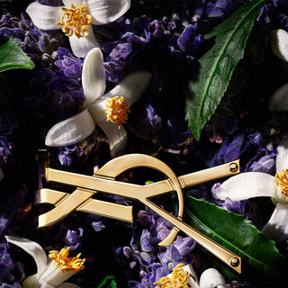 Libre Eau de Toilette 50 ml Yves Saint Laurent - La Barfumerie Paris