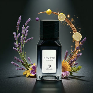 Senate Eau de Parfum Pour Homme 25 ml – Volaré