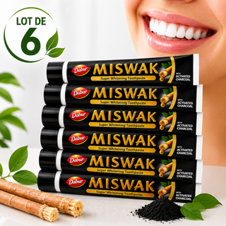 Miswak & Activated Charcoal Toothpaste 170 g – MISWAK