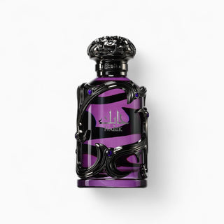 Habik For Men – Eau de Parfum 100 ml – Lattafa - La Barfumerie Paris